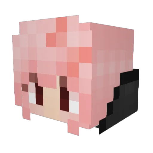 Wildcatz1 Minecraft avatar head, 3D render