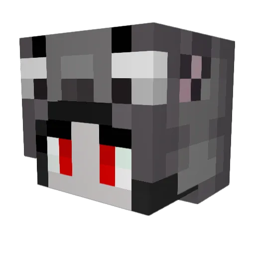 Wildcatz983476 Minecraft avatar head, 3D render