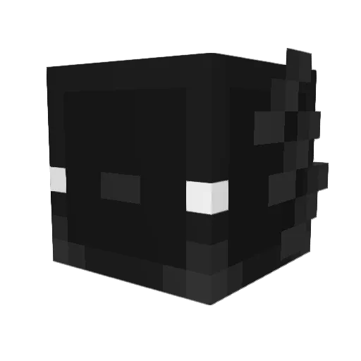 Wildchick123 Minecraft avatar head, 3D render