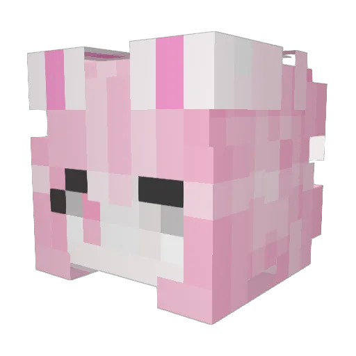 WildcrushRabbit Minecraft avatar head, 3D render