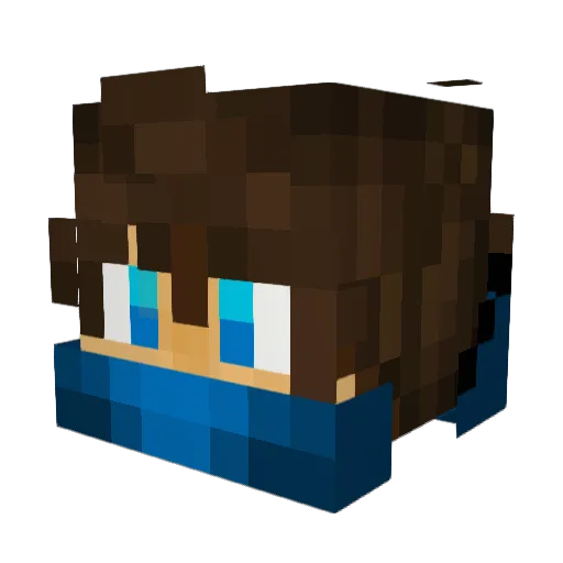 Wildd136 Minecraft avatar head, 3D render