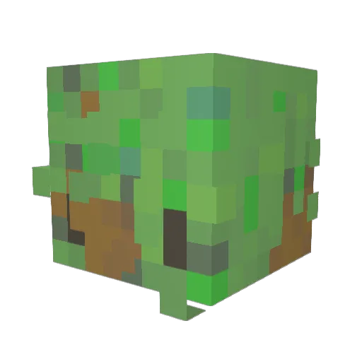 WilddThingg Minecraft avatar head, 3D render