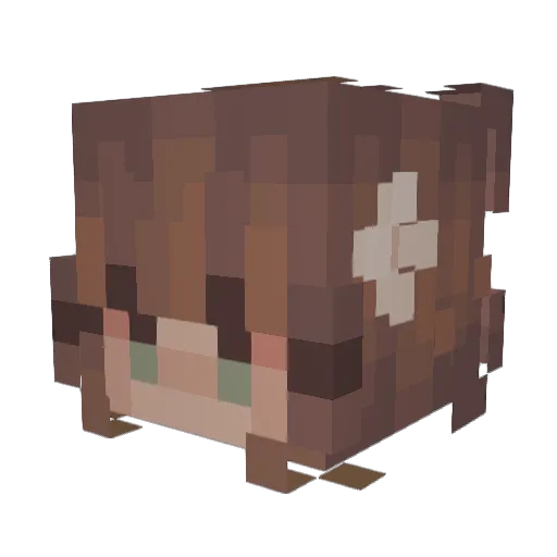 Wilddd_ Minecraft avatar head, 3D render