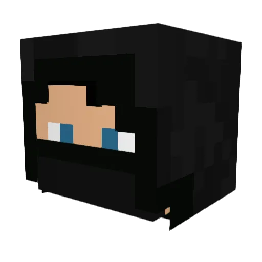 Wildern8 Minecraft avatar head, 3D render