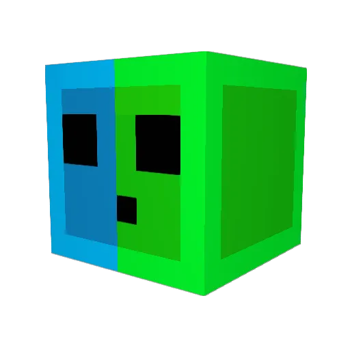 WildesPony69 Minecraft avatar head, 3D render