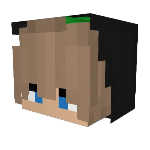 WildesSteve Minecraft avatar head, 3D render