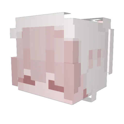 Wildfalers Minecraft avatar head, 3D render