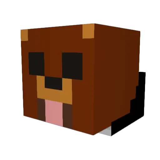 Wildfiowerss Minecraft avatar head, 3D render