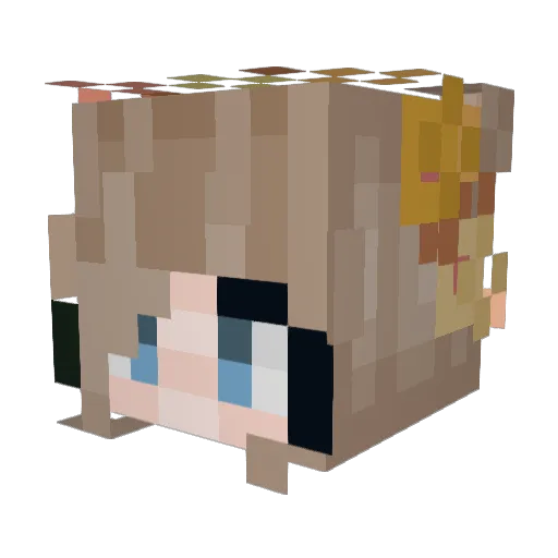 WildfireWarrior Minecraft avatar head, 3D render