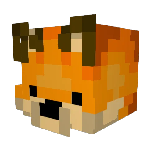 Wildfire_Fox Minecraft avatar head, 3D render