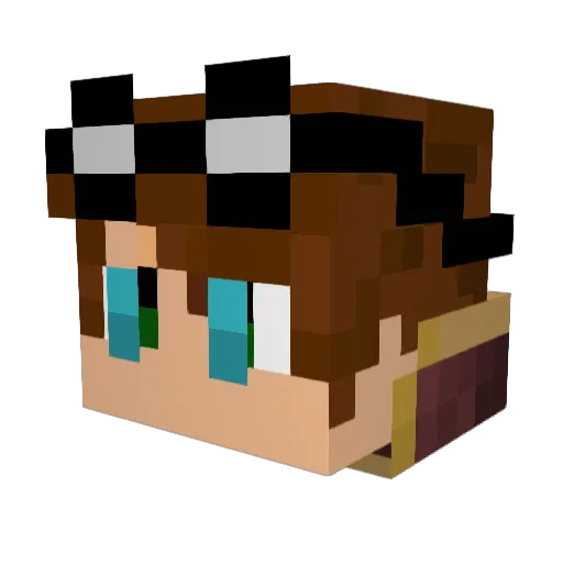 Wildfish09 Minecraft avatar head, 3D render