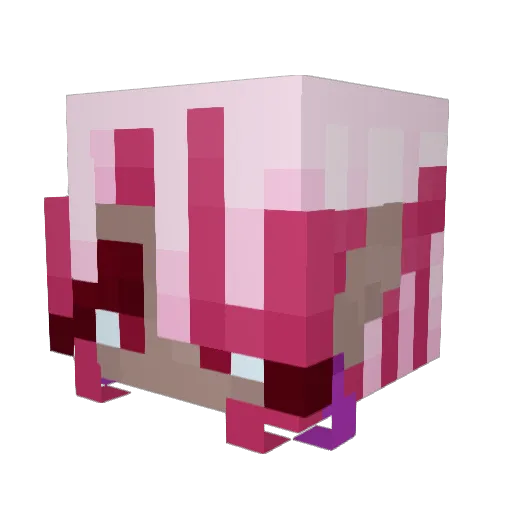 Wildfoxstyle90 Minecraft avatar head, 3D render