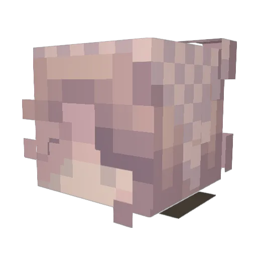 WildingToxica Minecraft avatar head, 3D render