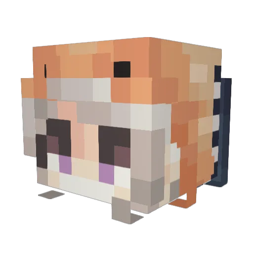 Wildlight07 Minecraft avatar head, 3D render