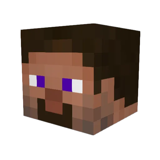 Wildlion73 Minecraft avatar head, 3D render