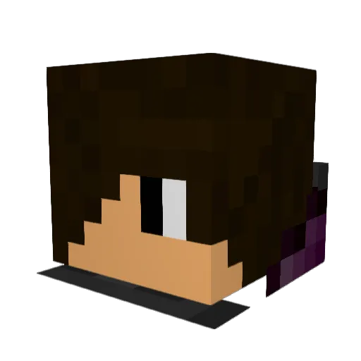 Wildman4211 Minecraft avatar head, 3D render