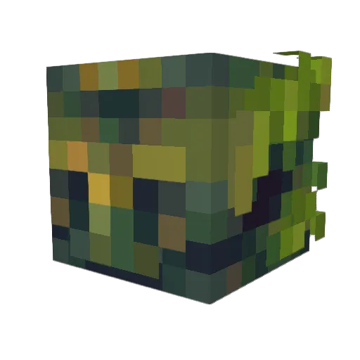 WildmanOzzy Minecraft avatar head, 3D render