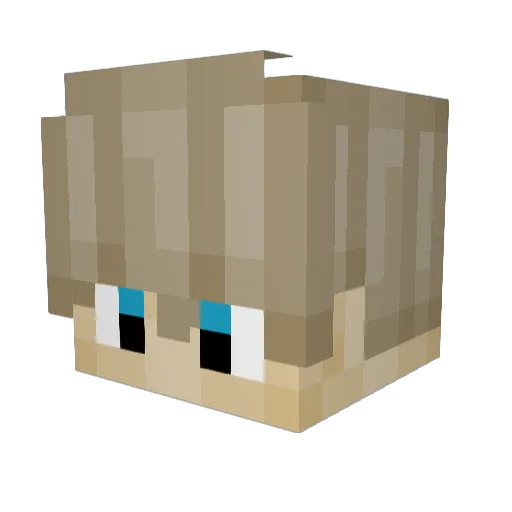 Wildo98 Minecraft avatar head, 3D render