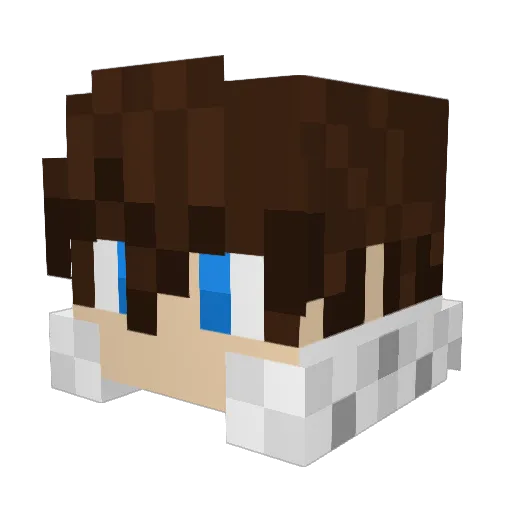 Wildsak1895 Minecraft avatar head, 3D render