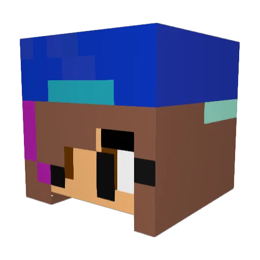 Wildsniper123 Minecraft avatar head, 3D render