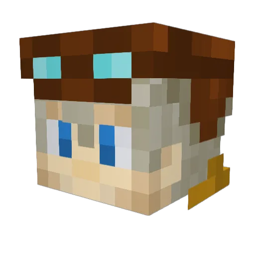 Wildtail9 Minecraft avatar head, 3D render