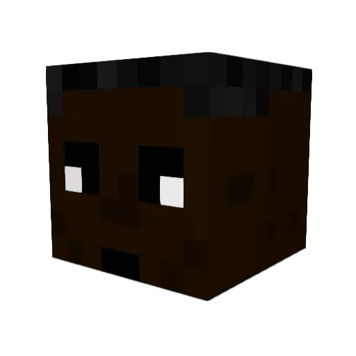 Wildu98 Minecraft avatar head, 3D render