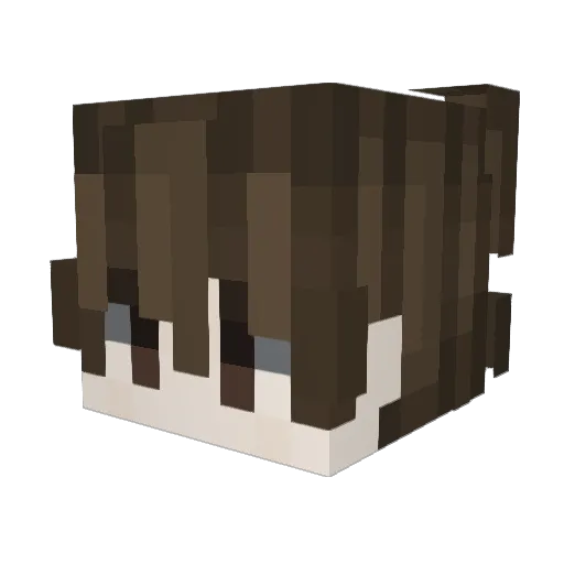 Wildyy_ Minecraft avatar head, 3D render