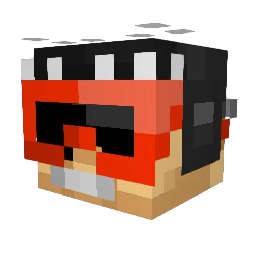 Wildzs Minecraft avatar head, 3D render