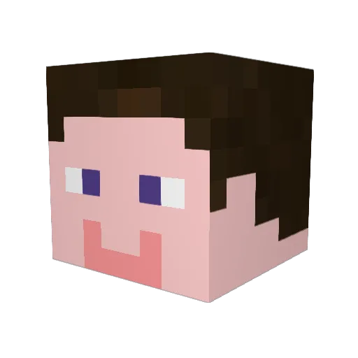 Wilf888 Minecraft avatar head, 3D render