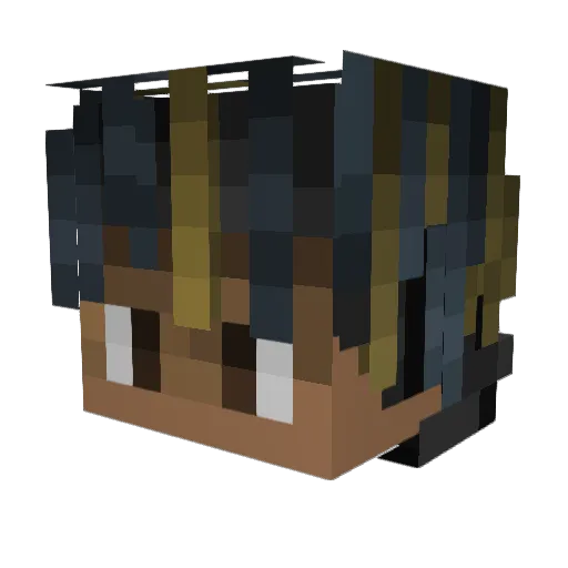 WilfulMist8253 Minecraft avatar head, 3D render