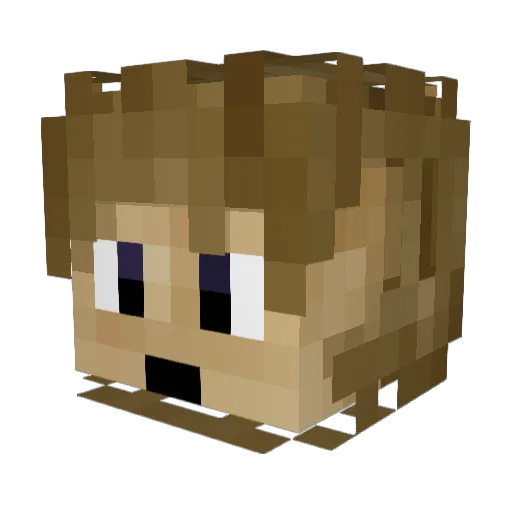 Wilhelm2004 Minecraft avatar head, 3D render