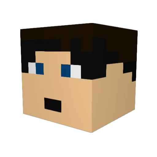 Wilhelm213 Minecraft avatar head, 3D render