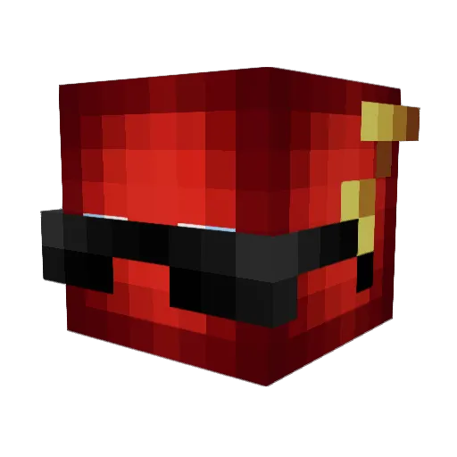Wilhelm246 Minecraft avatar head, 3D render