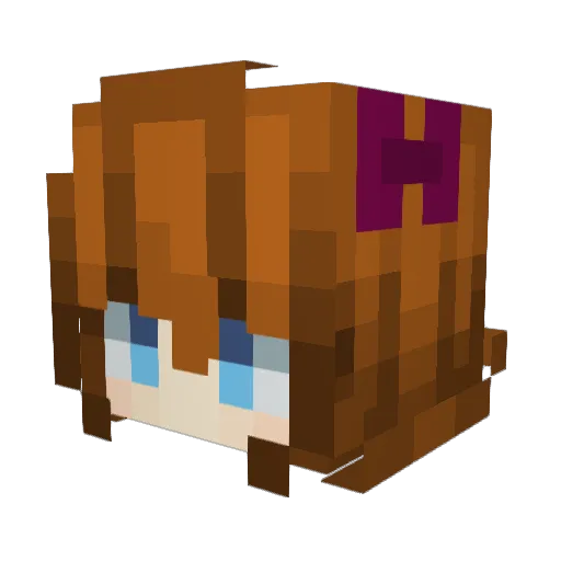 Wilhonia Minecraft avatar head, 3D render