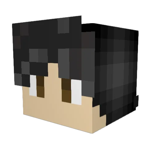 Wili1719 Minecraft avatar head, 3D render