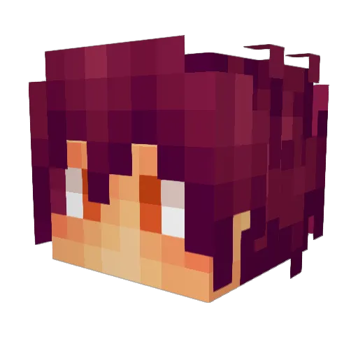 WiliamChz Minecraft avatar head, 3D render