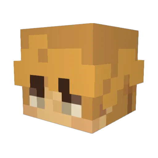 Wiliammm Minecraft avatar head, 3D render