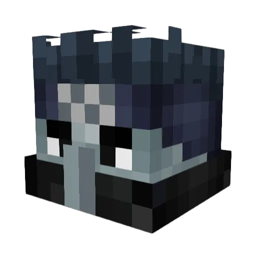 Wiljami1234 Minecraft avatar head, 3D render