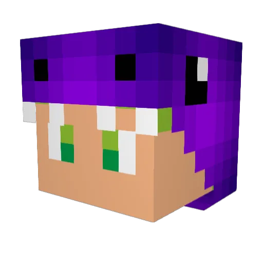 Wilk543 Minecraft avatar head, 3D render