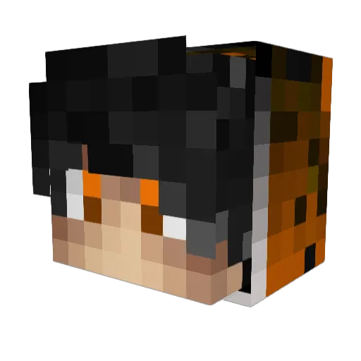 Wilk_UwU Minecraft avatar head, 3D render