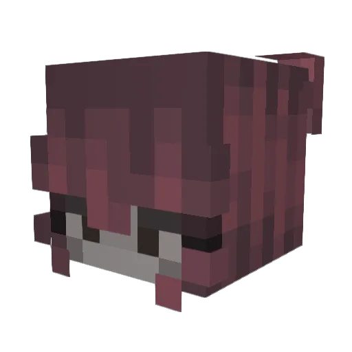 Will0w33 Minecraft avatar head, 3D render
