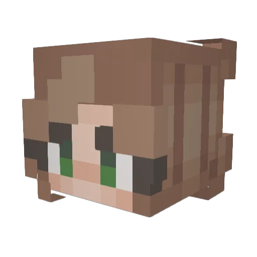 Will0wWello Minecraft avatar head, 3D render