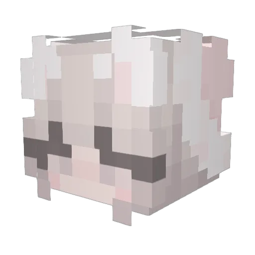 Will0w_Wisp Minecraft avatar head, 3D render