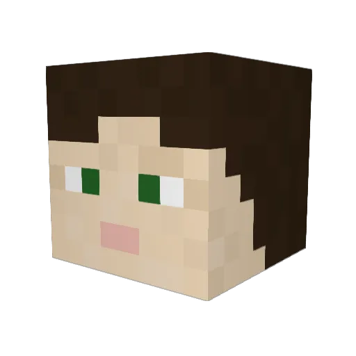 Will3Alex6 Minecraft avatar head, 3D render