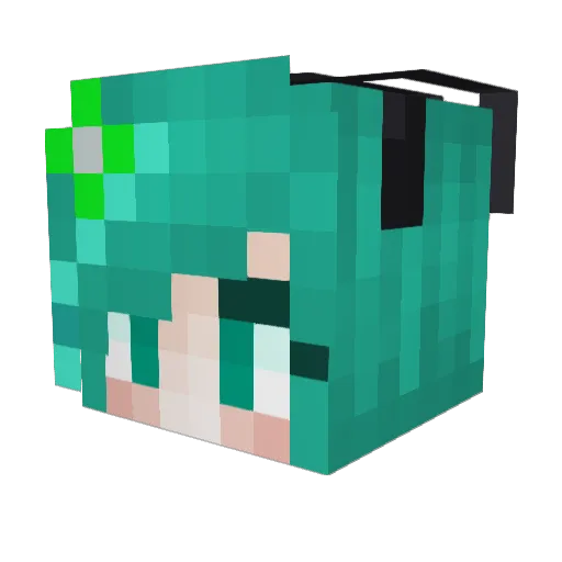 Will495 Minecraft avatar head, 3D render