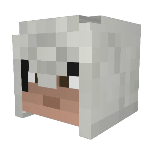 Will736rule Minecraft avatar head, 3D render