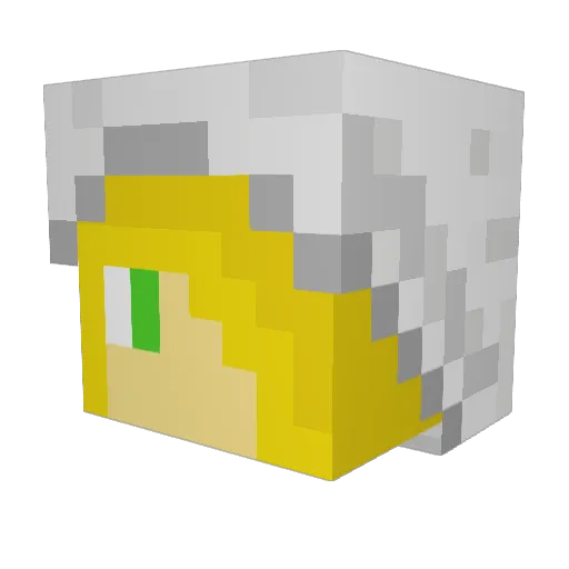 WillEnder Minecraft avatar head, 3D render