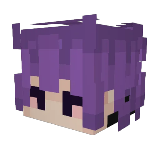 WillFeral Minecraft avatar head, 3D render
