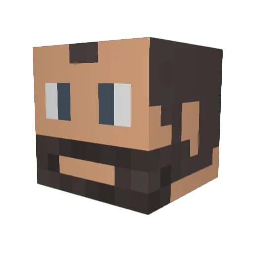 WillH20 Minecraft avatar head, 3D render