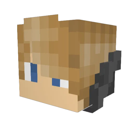 WillH702 Minecraft avatar head, 3D render